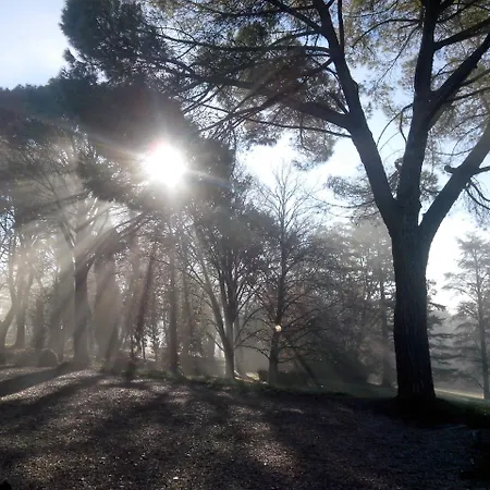 De Gailhaguet Nocleg ze śniadaniem Verfeil (Haute-Garonne)