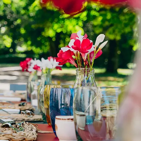 Bed & Breakfast De Gailhaguet Verfeil (Haute-Garonne)