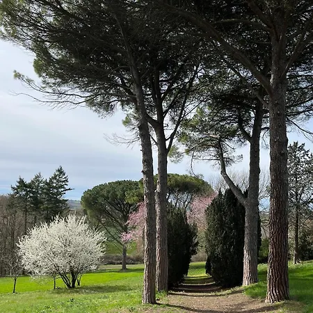 Bed & Breakfast De Gailhaguet